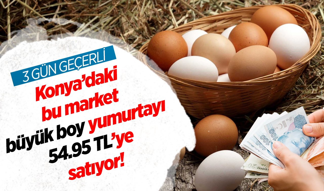  3 GÜN GEÇERLİ! Konya’daki bu market büyük boy yumurtayı 54.95 TL’ye satıyor! 