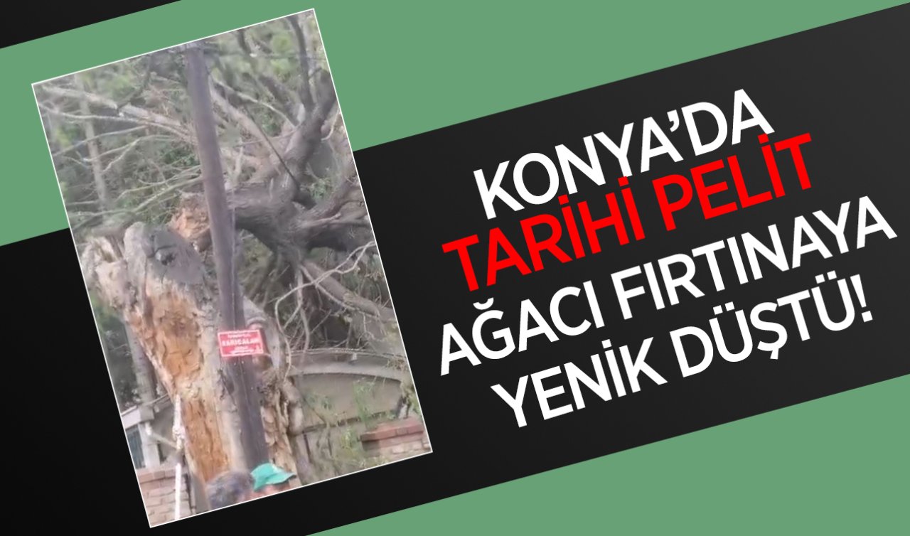 Konya’da tarihi pelit ağacı fırtınaya yenik düştü! Cemaat üzüntü içinde
