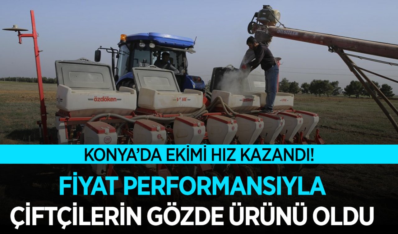 Konya’da ekimi hız kazandı! Geçen yıl çiftçiler 50 liradan sattı 
