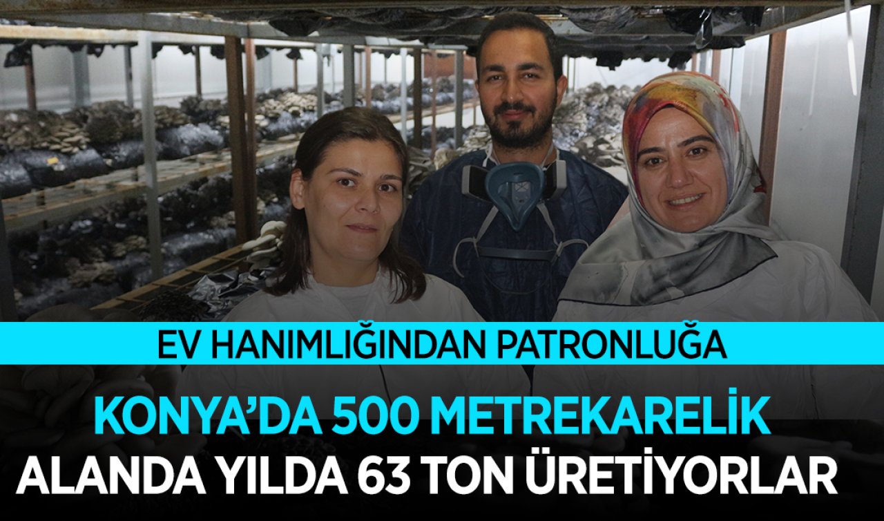 Ev hanımlığından patronluğa! Konya’da 500 metrekarelik alanda yılda 63 ton üretiyorlar!