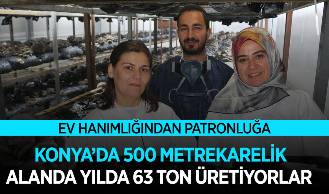  Ev hanımlığından patronluğa! Konya’da 500 metrekarelik alanda yılda 63 ton üretiyorlar!