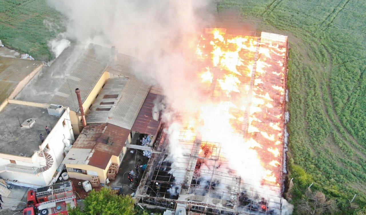 Depodaki yangında 160 ton kozalak küle döndü