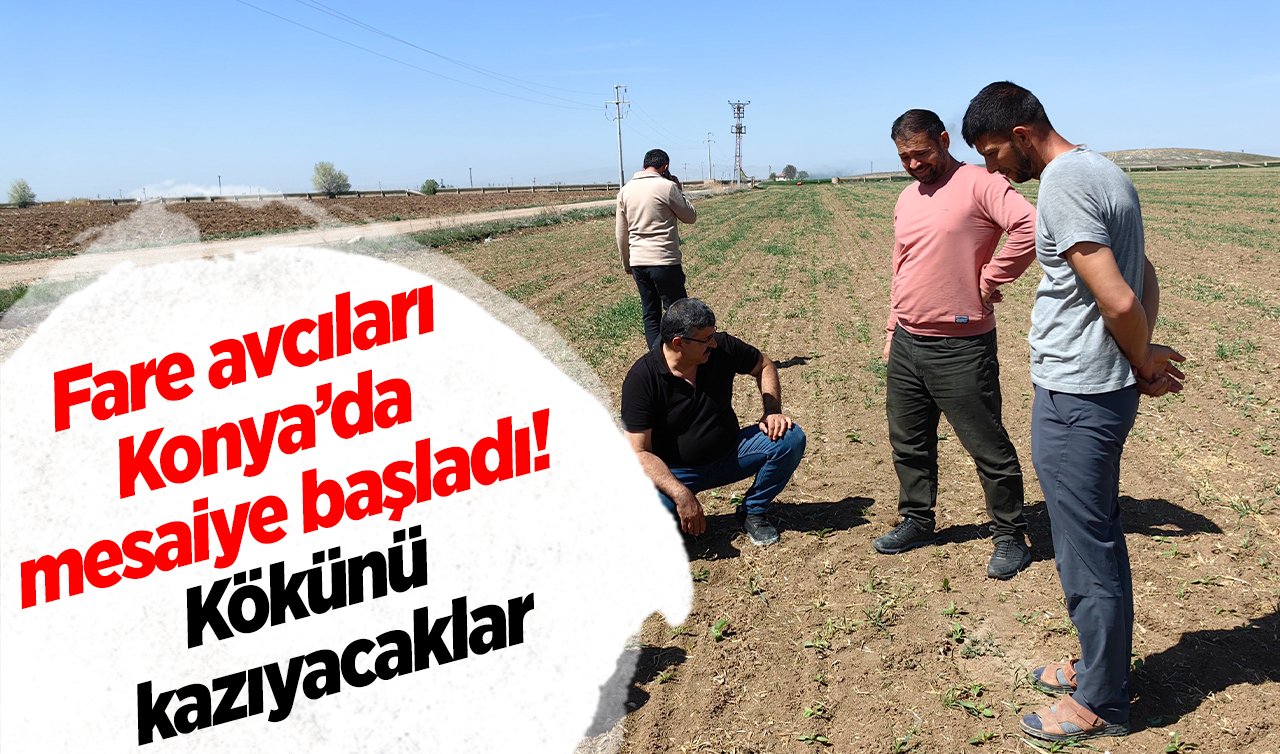  Fare avcıları Konya’da mesaiye başladı! Kökünü kazıyacaklar