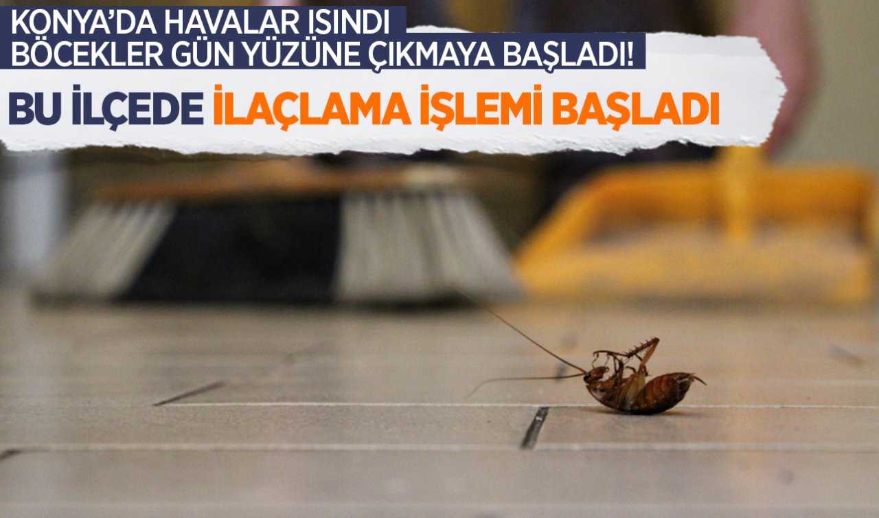  Konya’da havalar ısındı böcekler gün yüzüne çıktı! İlaçlama işlemi bu ilçede başladı