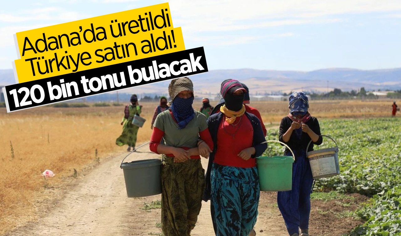 Adana’da üretildi Türkiye satın aldı! 120 bin tonu bulacak