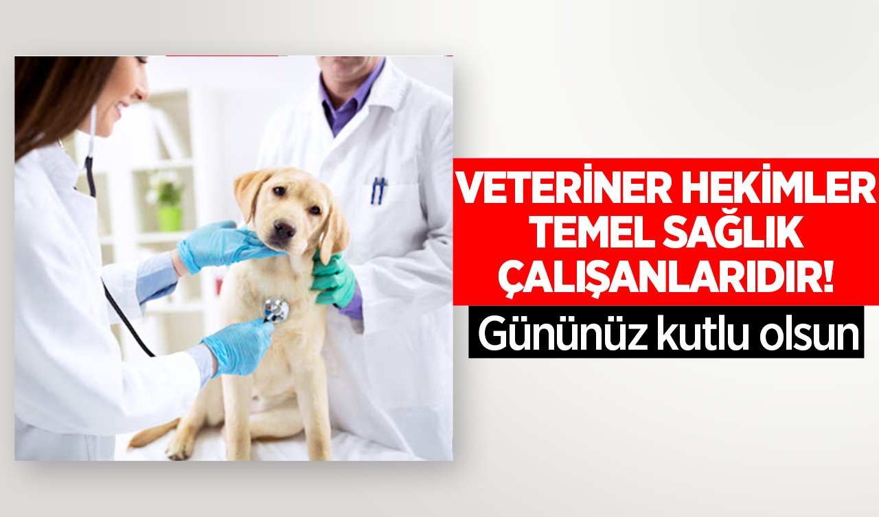 VETERİNER HEKİMLER TEMEL SAĞLIK ÇALIŞANLARIDIR! Gününüz kutlu olsun