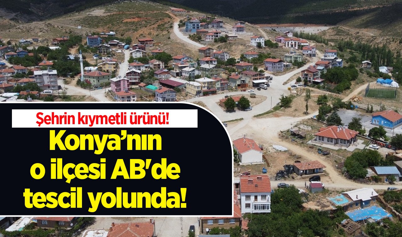  Konya’nın o ilçesi AB’de tescil yolunda! Şehrin kıymetli ürünü!