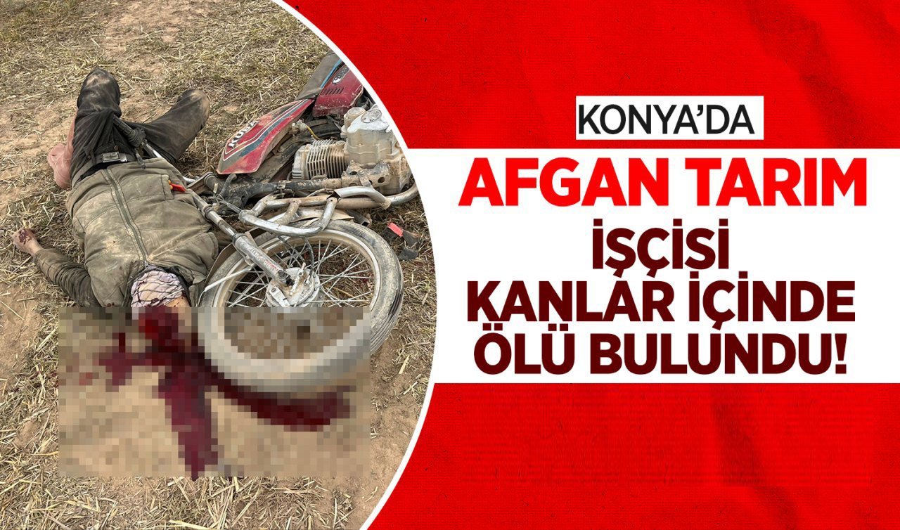  Konya’da Afgan tarım işçisi kanlar içinde ölü bulundu! Cinayet şüphesi var