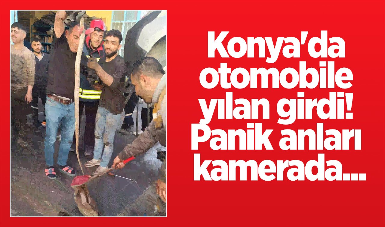 Konya’da otomobile yılan girdi! Panik anları...