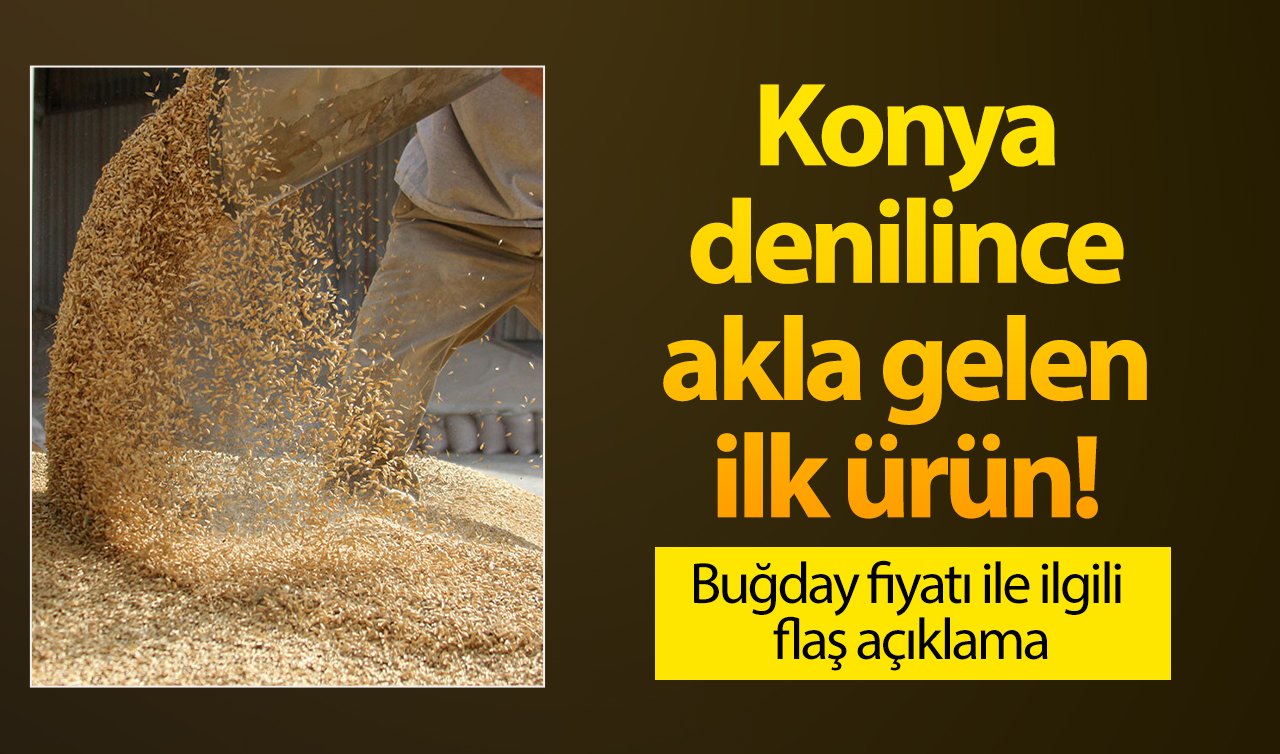  Konya denilince akla gelen ilk ürün! Buğday fiyatı ile ilgili flaş açıklama