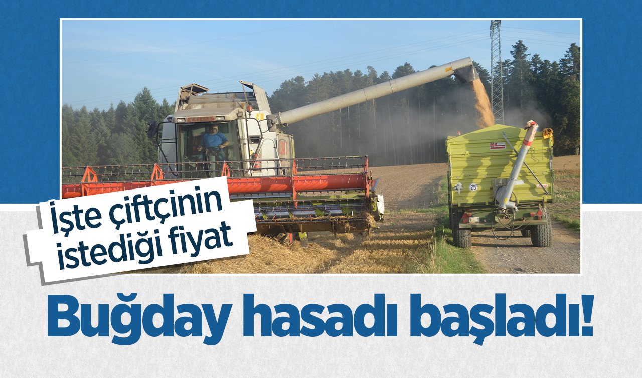 İlk buğday hasadı yapıldı! İşte çiftçinin istediği fiyat 2024 Buğday fiyatı ile ilgili açıklama 