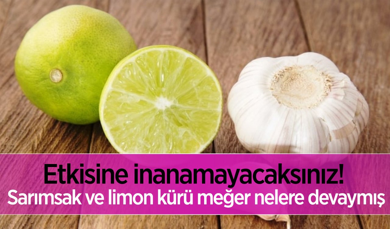  Etkisine inanamayacaksınız! Sarımsak ve limon kürü meğer nelere devaymış