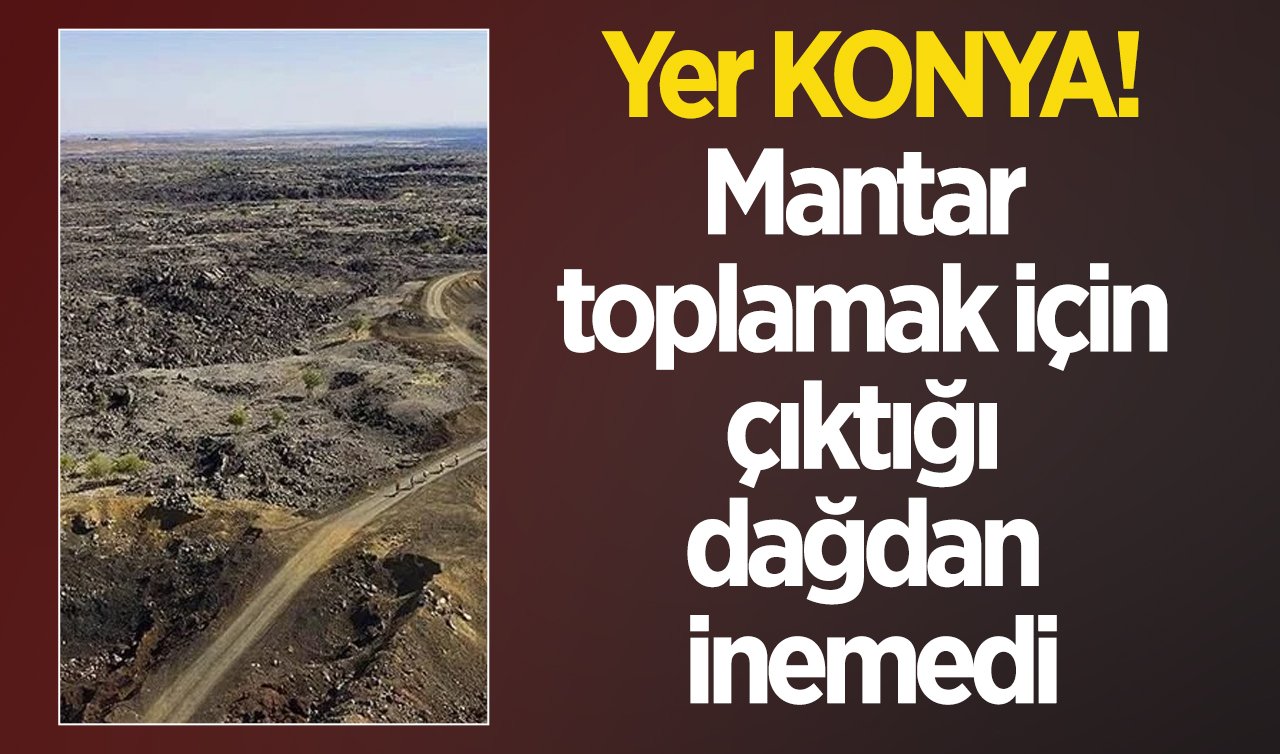 Konya’da mantar toplamak için dağa çıktı! Tekrar inemedi