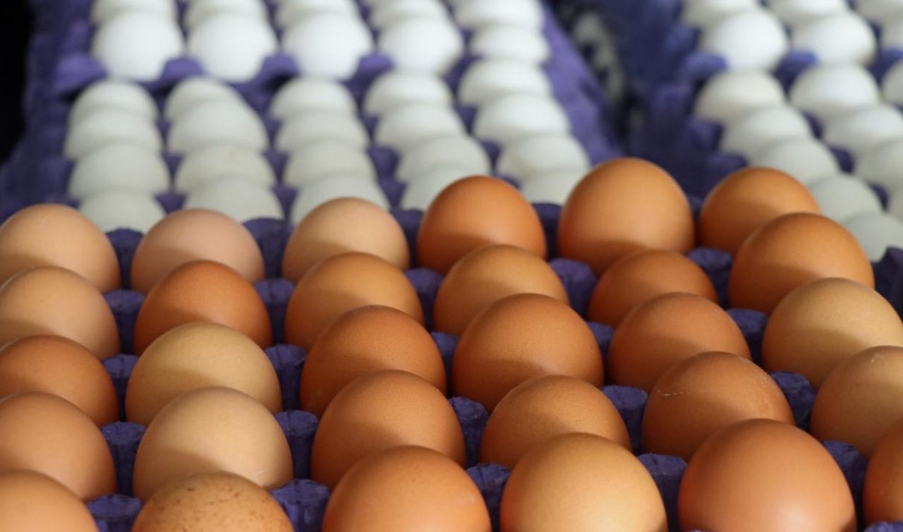 Yumurta fiyatları düşüş sebebiyle “mayıs çukuru’na’’ düştü