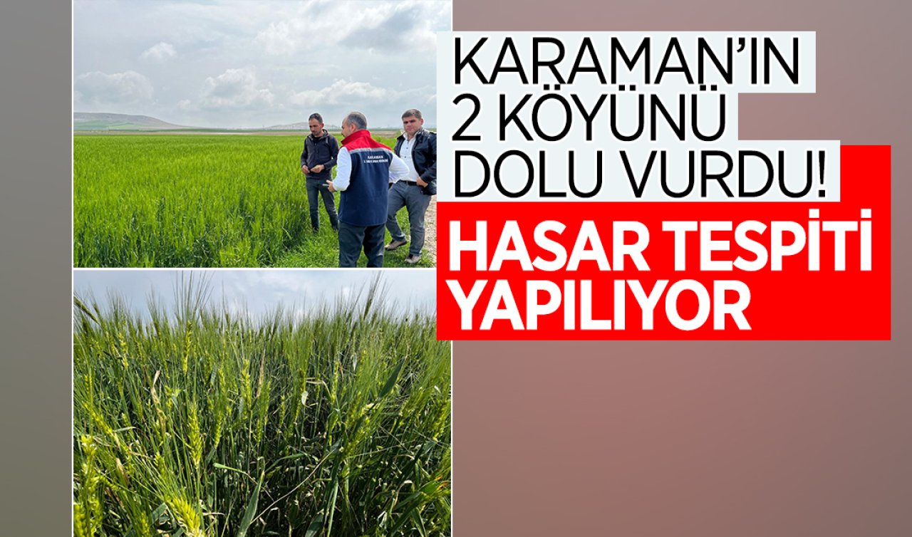 Karaman’ın 2 köyünü dolu vurdu! Hasar tespiti yapılıyor