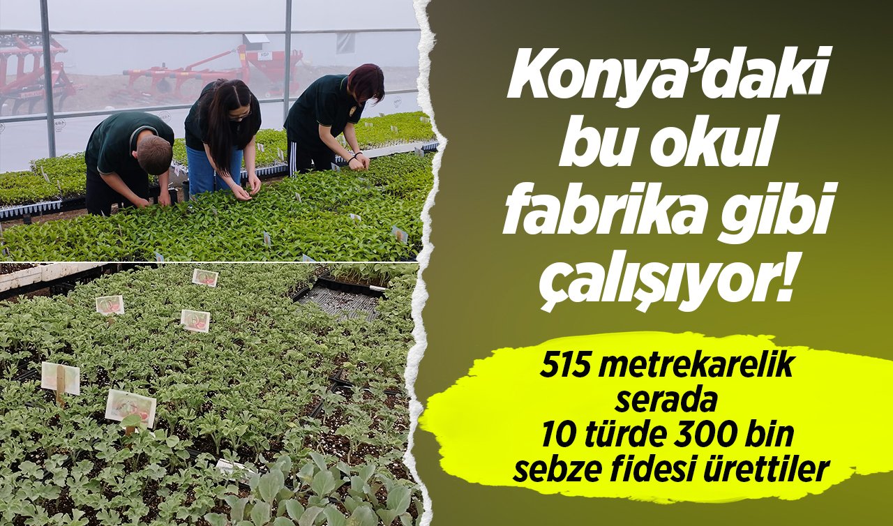  Konya’daki bu okul fabrika gibi çalışıyor! 515 metrekarelik serada 10 türde 300 bin sebze fidesi ürettiler