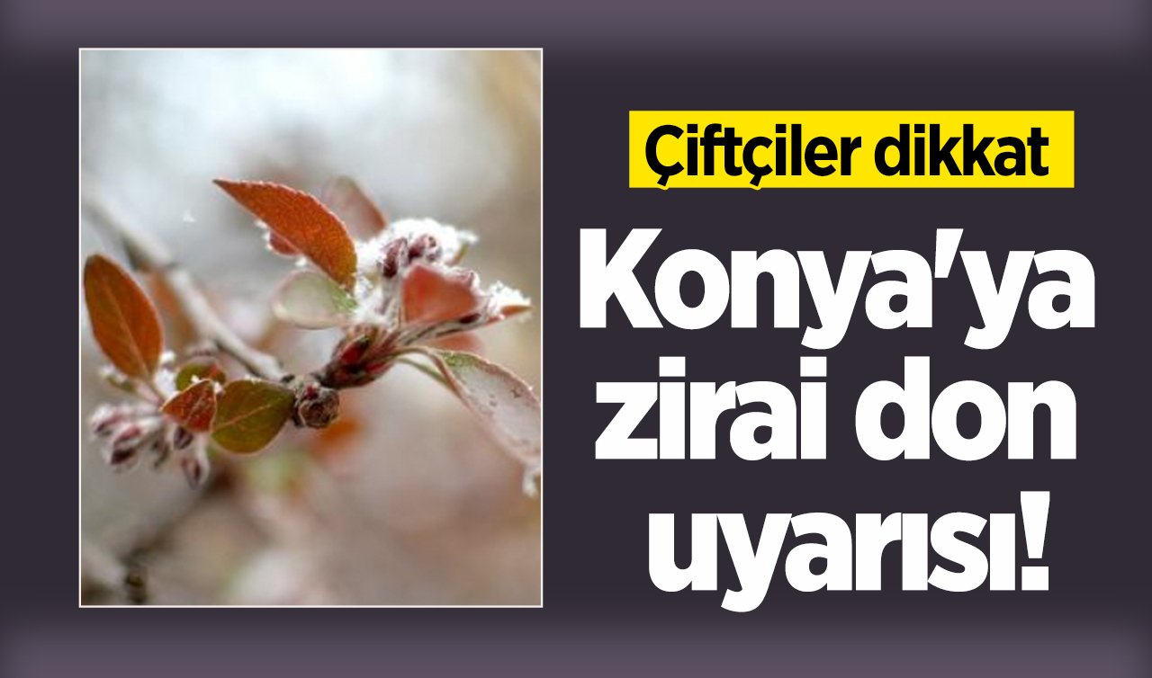 Çiftçiler dikkat: Konya’da zirai don uyarısı!