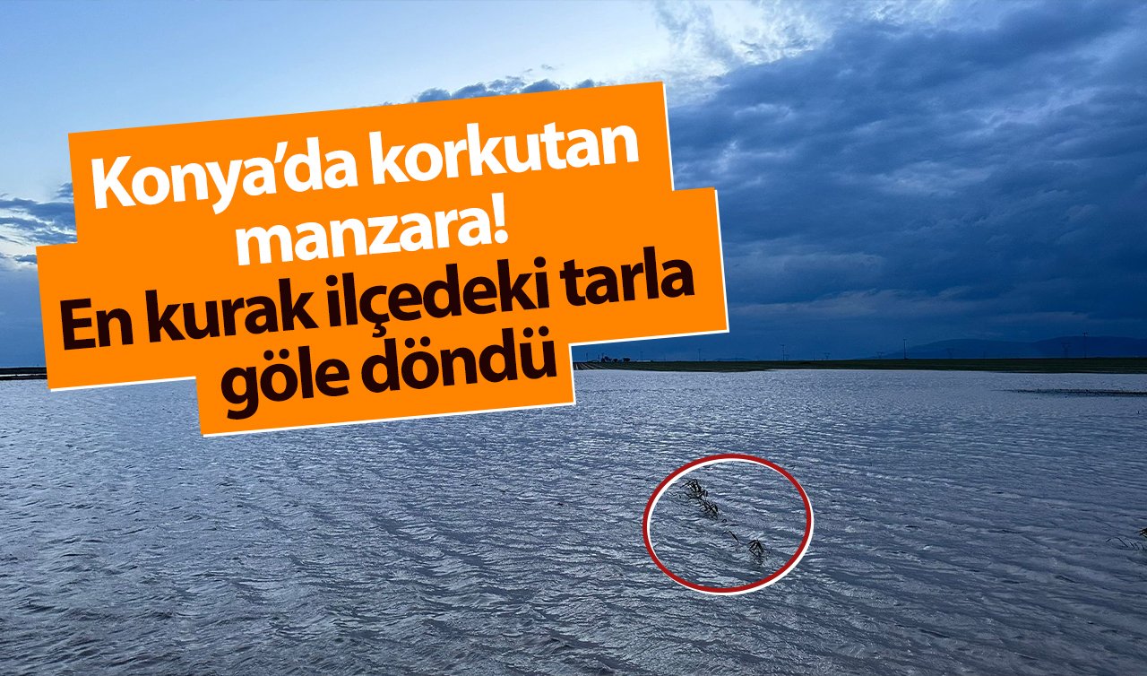 Konya’da korkutan manzara! En kurak ilçedeki tarla göle döndü