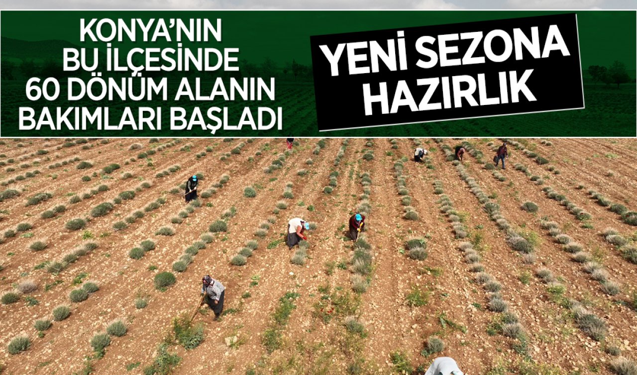  Yeni sezona hazırlık! Konya’nın bu ilçesinde 60 dönümlük alanın bakımları başladı