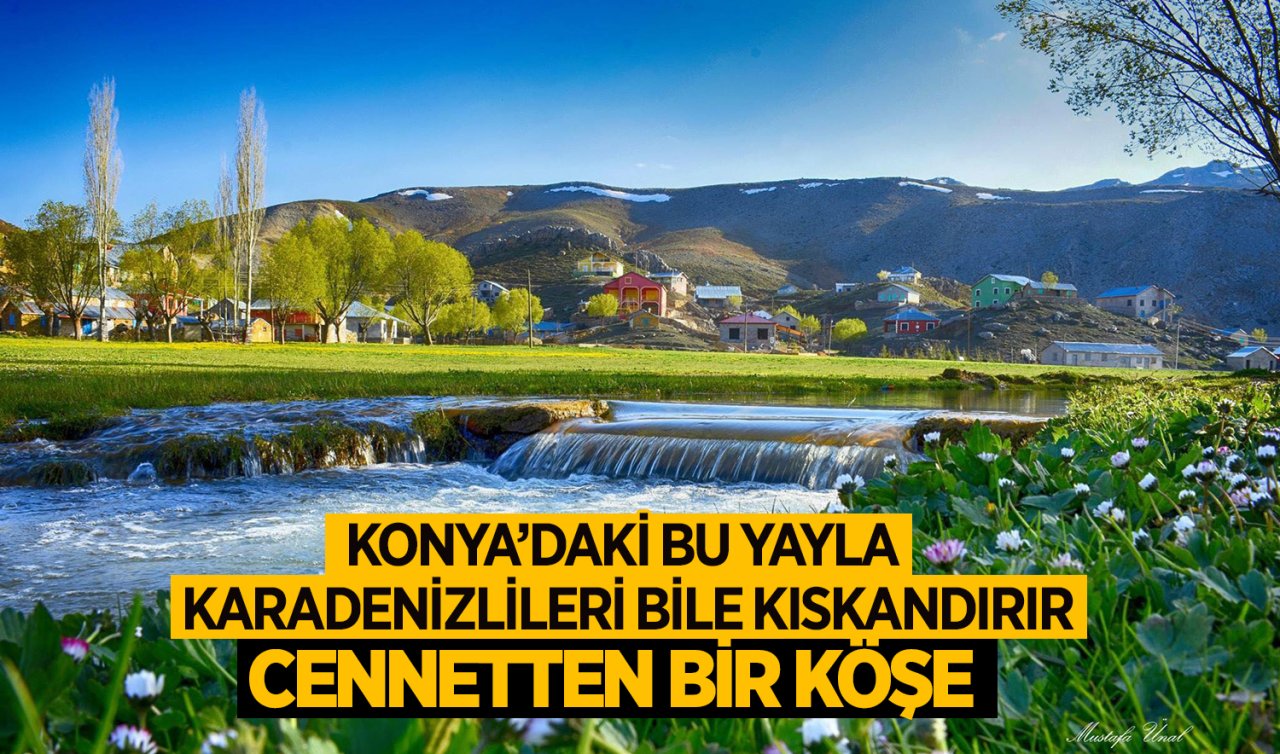 Konya’daki bu yayla Karadenizlileri bile kıskandırır! Cennetten bir köşe