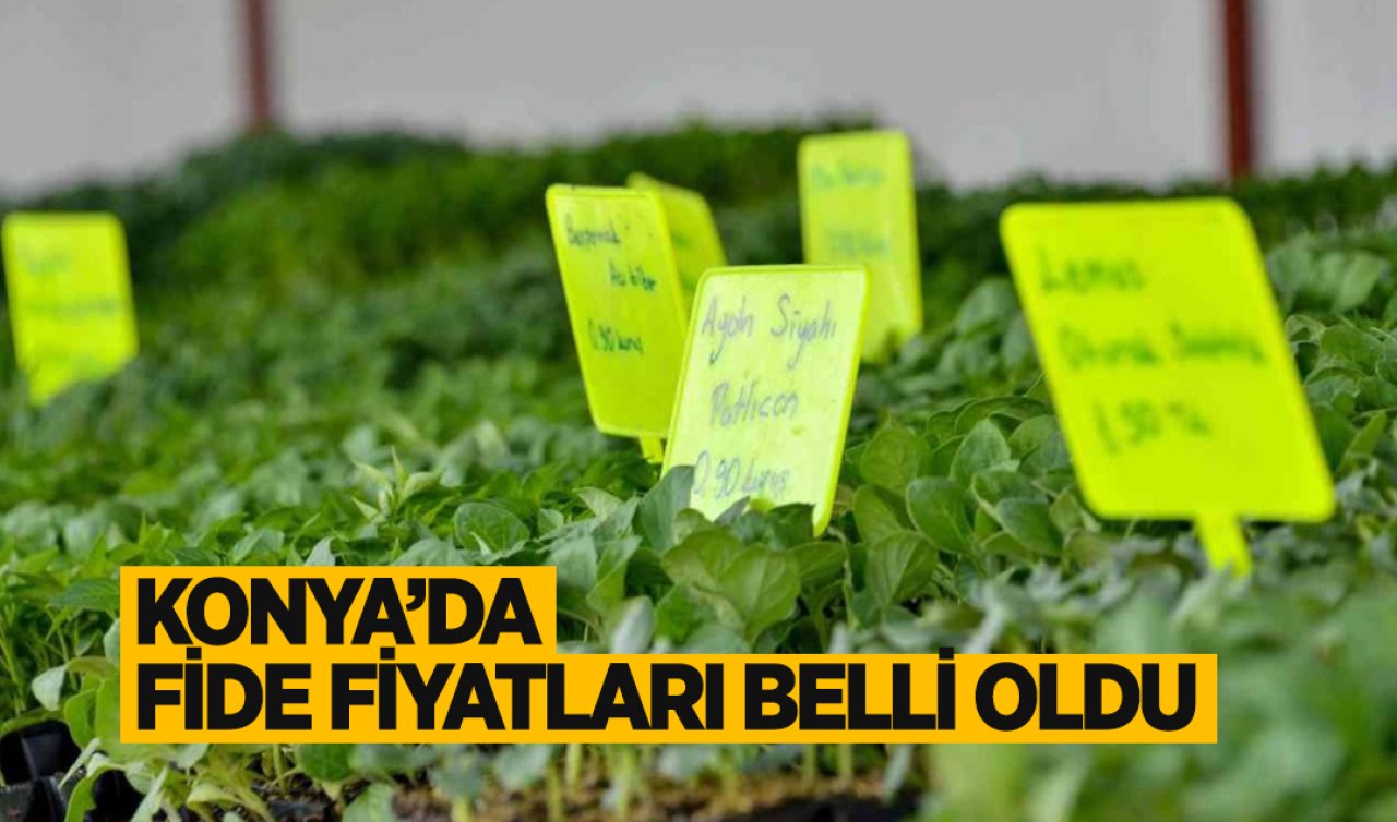  Konya’da fide fiyatları belli oldu!