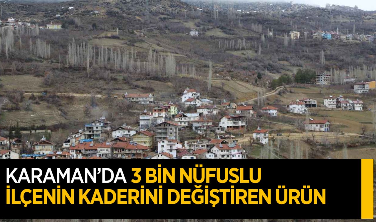  Karaman’da 3 bin nüfuslu ilçenin kaderini değiştiren ürün!