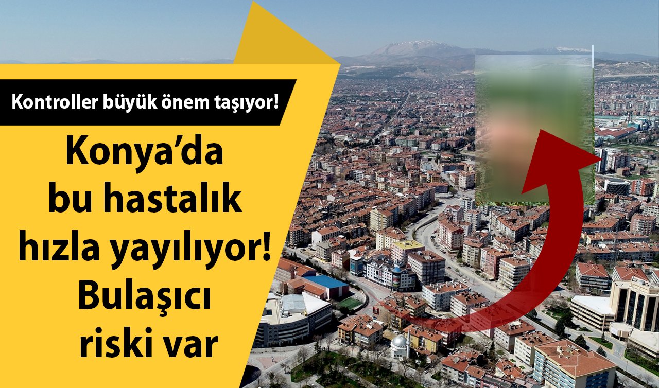  Konya’da bu hastalık hızla yayılıyor! Bulaşıcı riski var: Kontroller büyük önem taşıyor! 