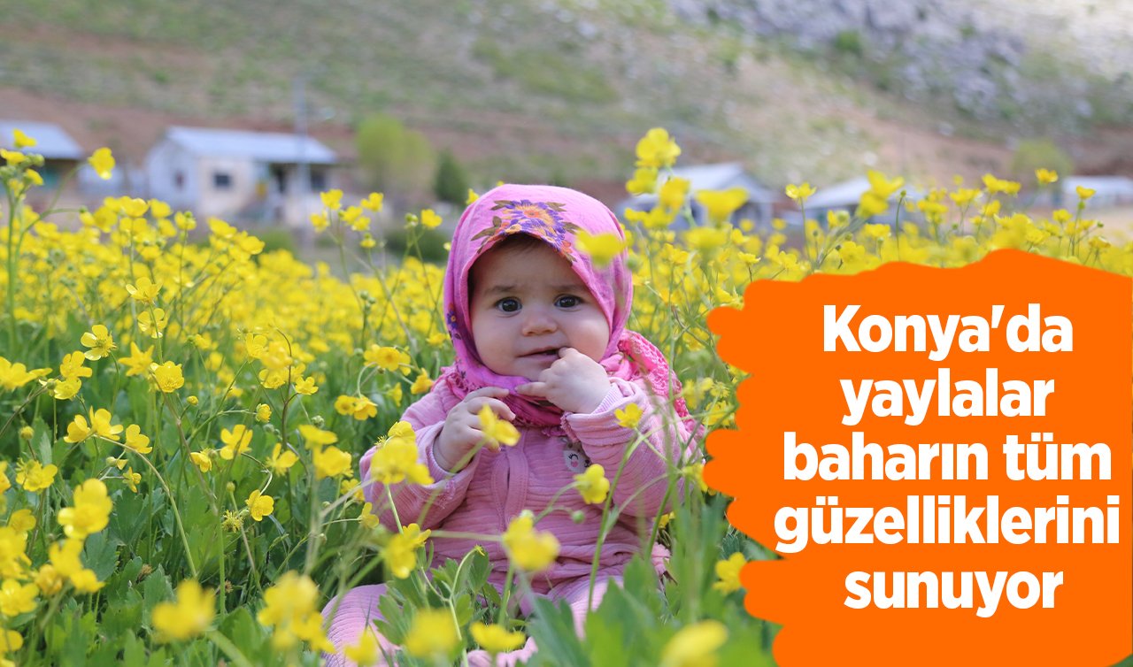  Konya’da yaylalar baharın tüm güzelliklerini sunuyor