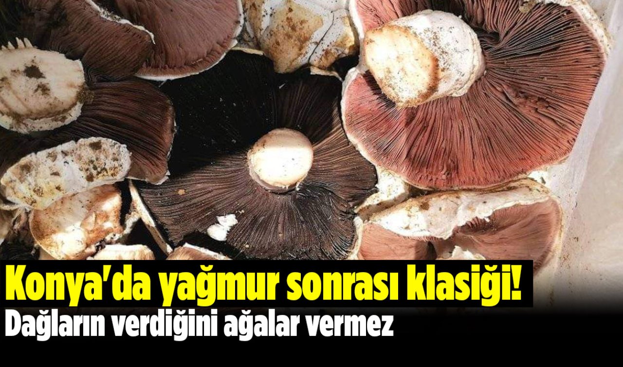 Konya’da yağmur sonrası klasiği! Dağların verdiğini ağalar vermez