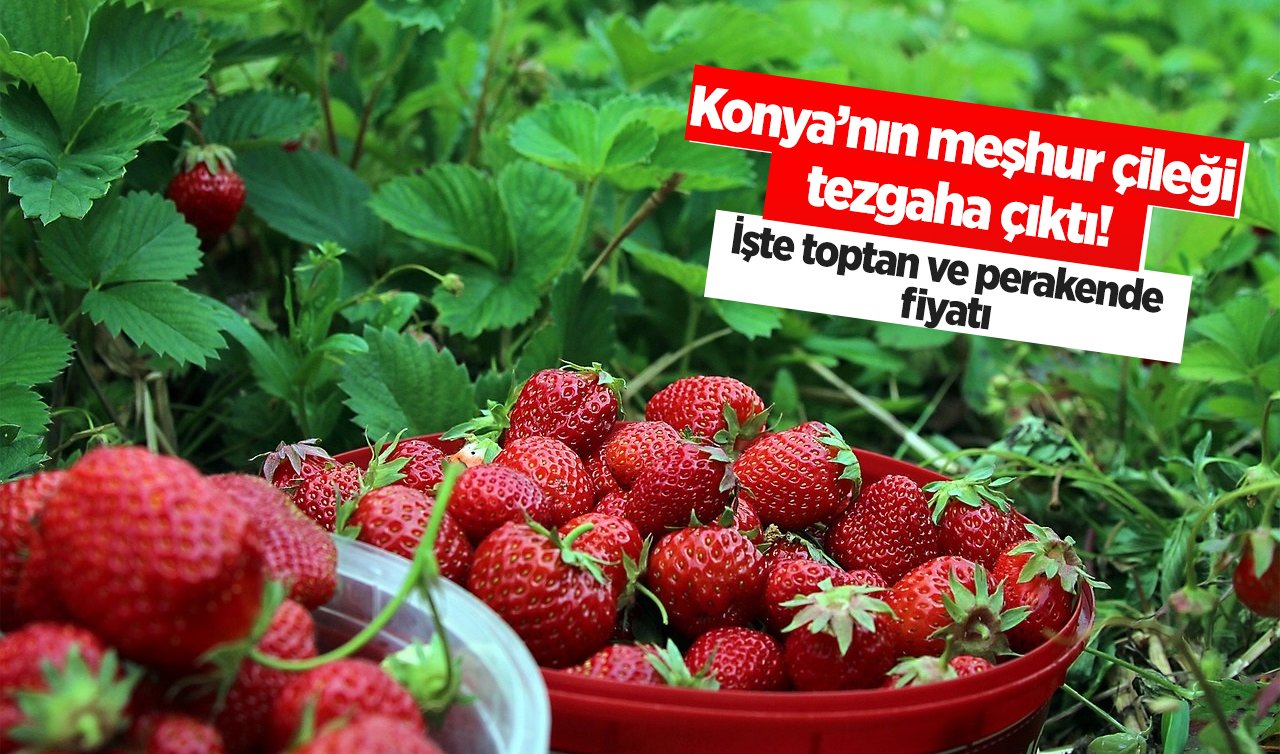  Konya’nın meşhur çileği tezgaha çıktı! İşte toptan ve perakende fiyatı