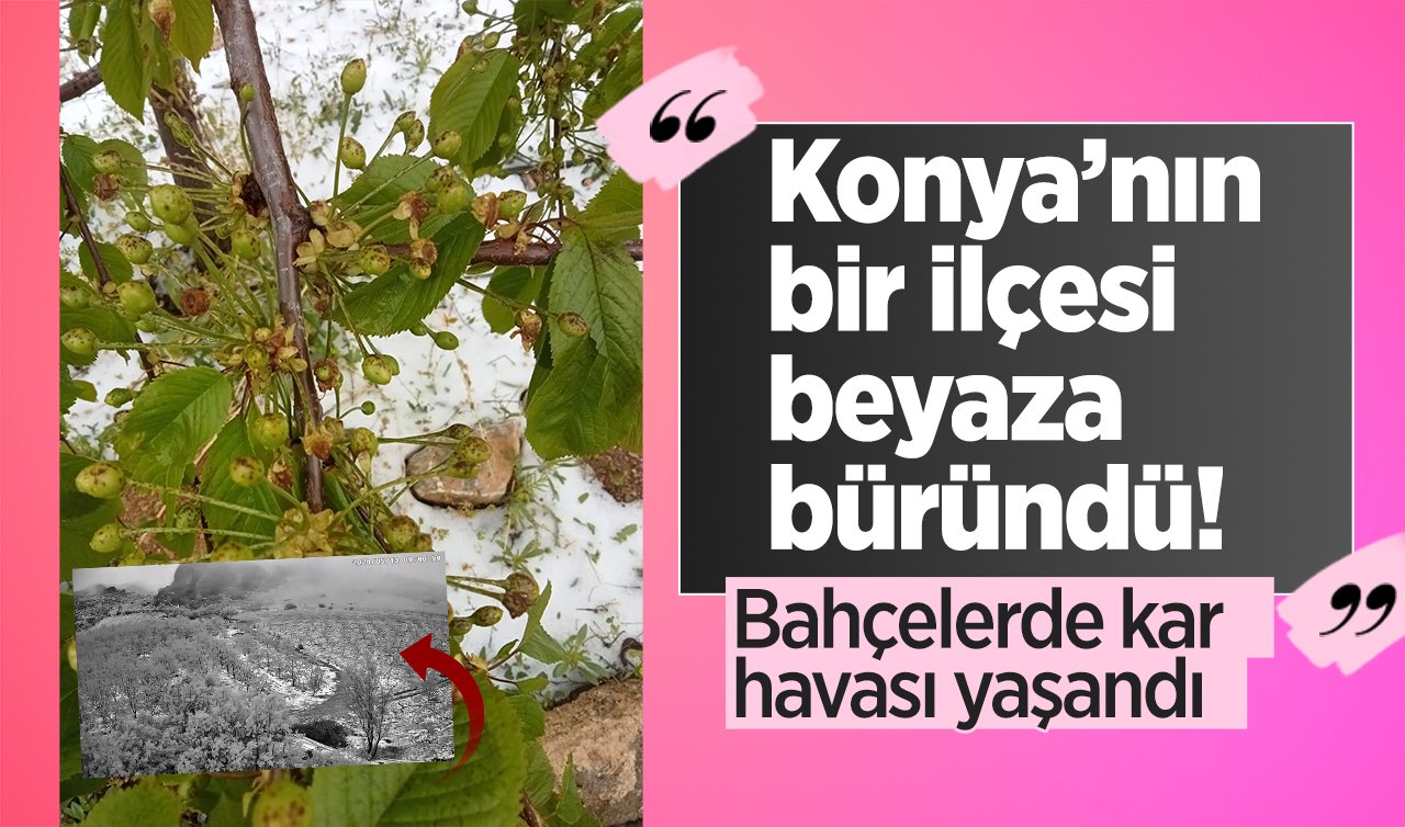 Konya’nın bir ilçesi beyaza büründü! Bahçelerde kar havası yaşandı