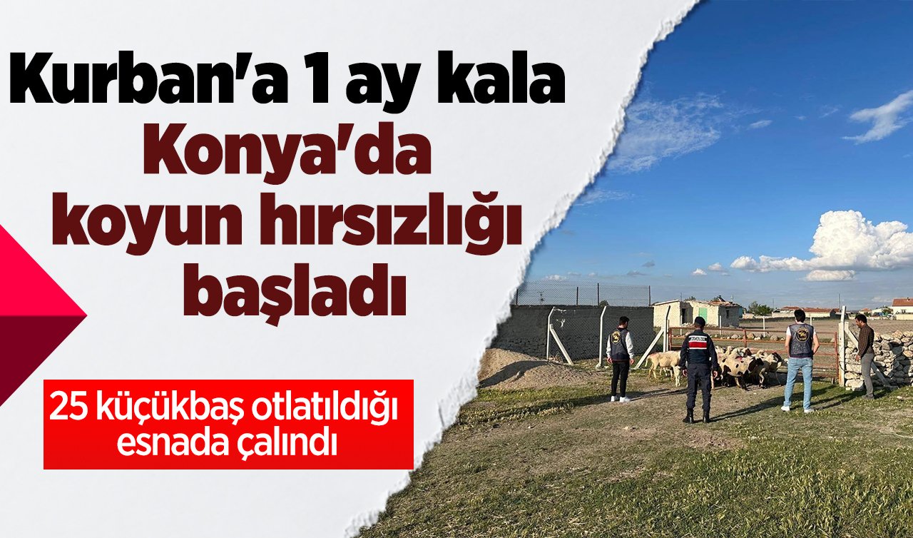 Kurban’a 1 ay kala Konya’da koyun hırsızlığı başladı: 25 küçükbaş çalındı