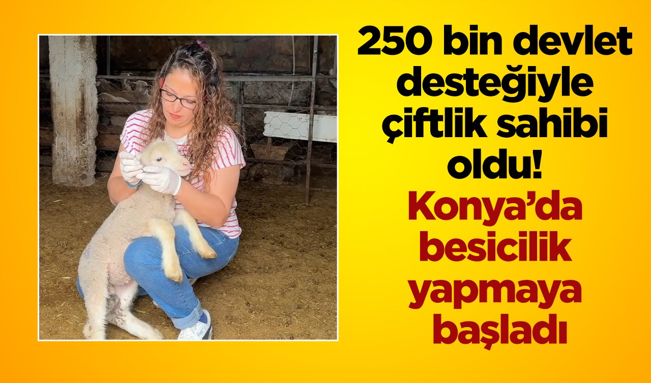 250 bin devlet desteğiyle çiftlik sahibi oldu! Konya’da besicilik yapmaya başladı