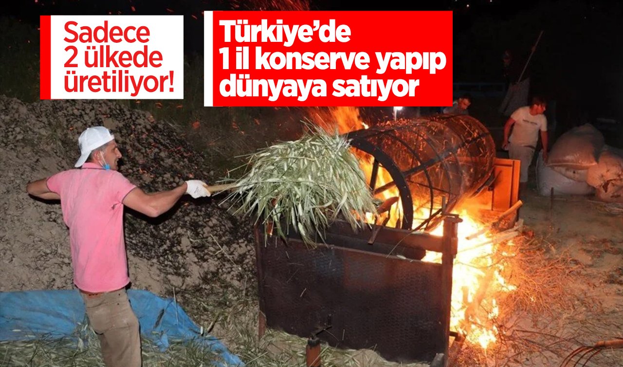  Sadece 2 ülkede üretiliyor! Türkiye’de 1 il konserve yapıp dünyaya satıyor