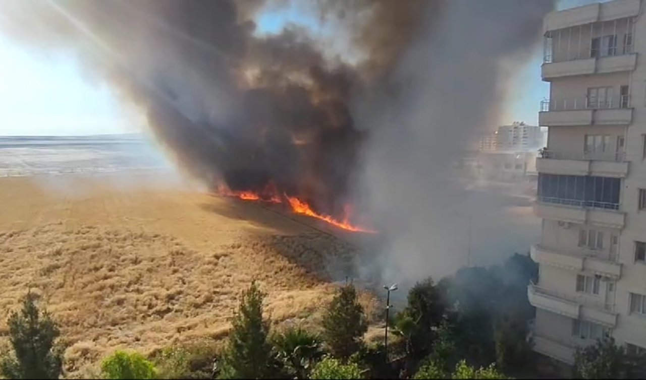 Suriye sınırındaki mayınlı bölgede çıkan yangın 30 dönüm buğday ekili alanı yaktı