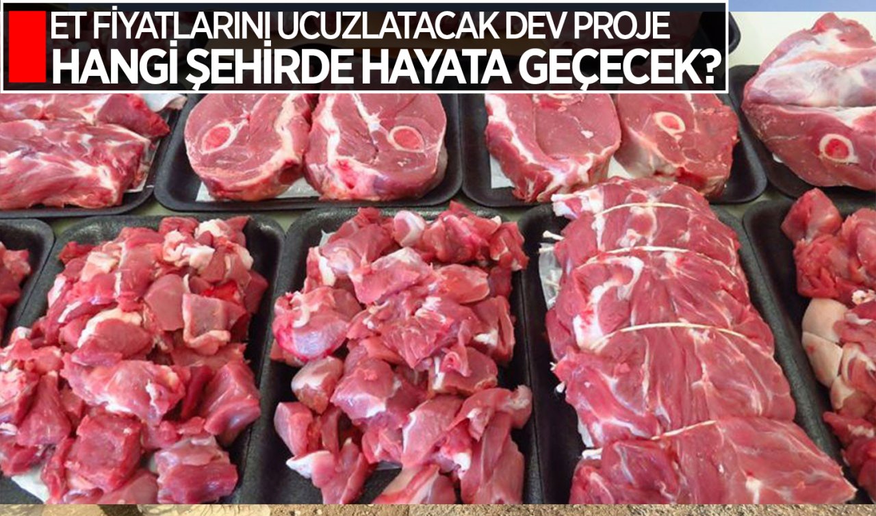 Et fiyatlarını ucuzlatacak proje: Tarım Kredi’nin yeni projesi hangi şehirde hayata geçecek?