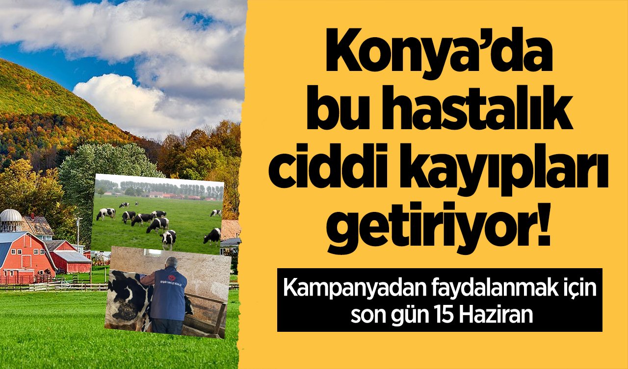 Konya’da bu hastalık ciddi kayıpları getiriyor! Kampanyadan faydalanmak için son gün 15 Haziran