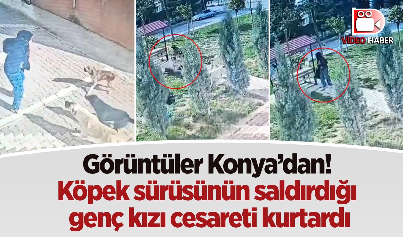 Görüntüler Konya’dan! Köpek sürüsünün saldırdığı genç kızı cesareti kurtardı