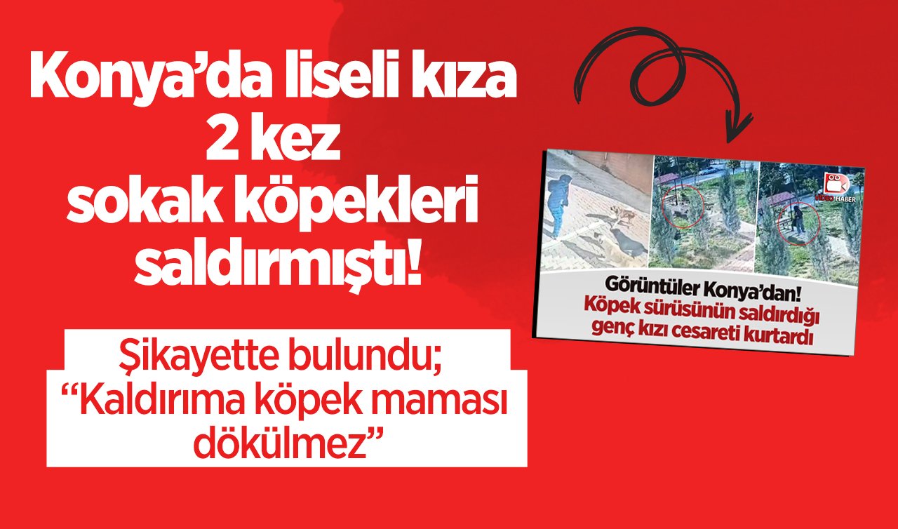 Konya’da liseli kıza 2 kez sokak köpekleri saldırmıştı! Şikayette bulundu:  “Kaldırıma köpek maması dökülmez’’