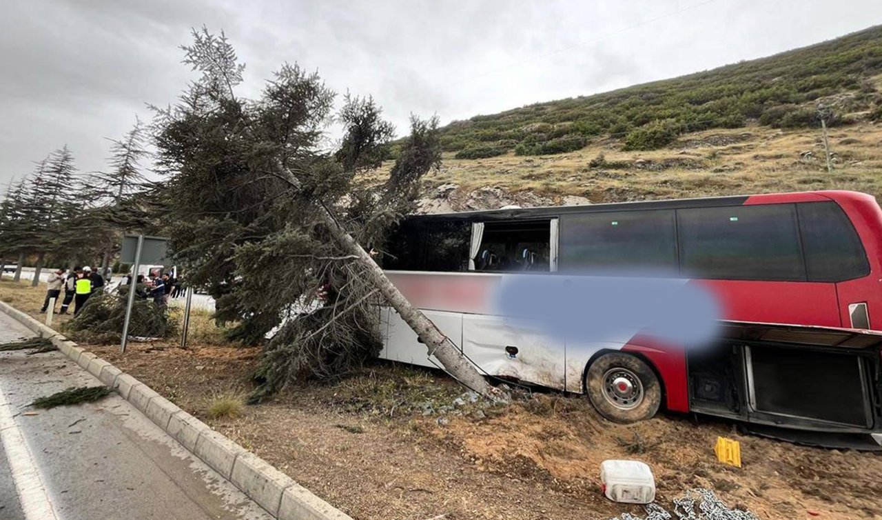  Yolcu otobüsü ağaca çarptı: 11 yaralı