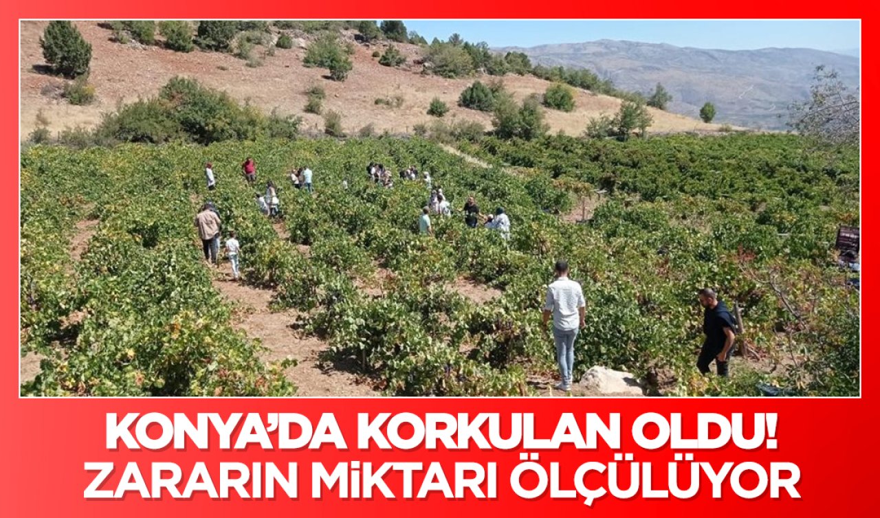  Konya’da korkulan oldu! Zararın miktarı ölçülüyor