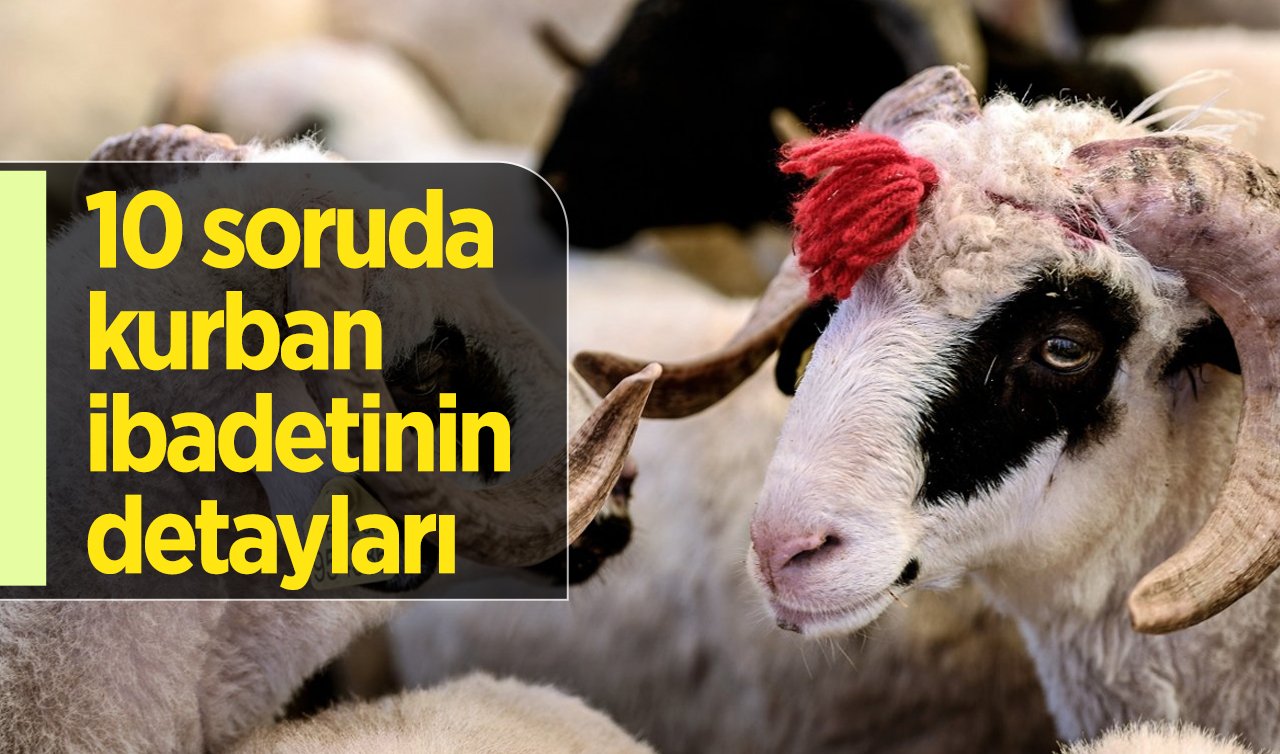 10 soruda kurban ibadetinin detayları