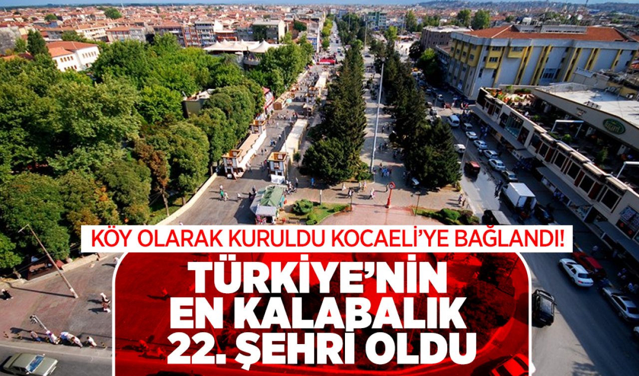  Köy olarak kuruldu Kocaeli’ye bağlandı! Adı ve statüsü değişti