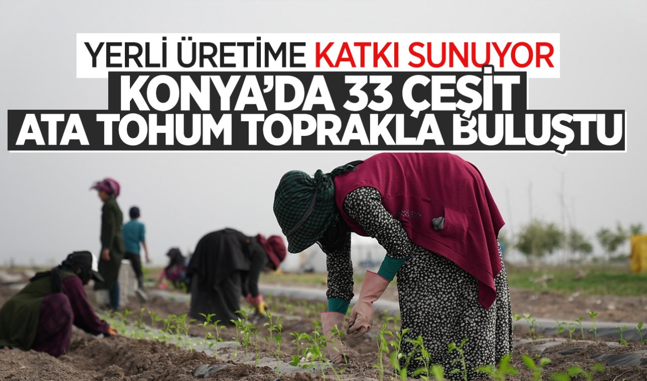 Konya’da 33 çeşit Ata Tohum toprakla buluştu! Yerli üretime katkı sunuyor