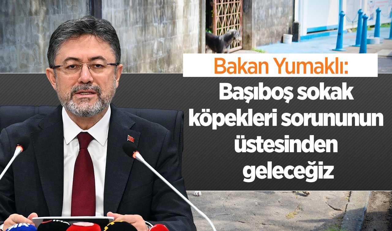 Bakan Yumaklı: Başıboş sokak köpekleri sorununun üstesinden geleceğiz