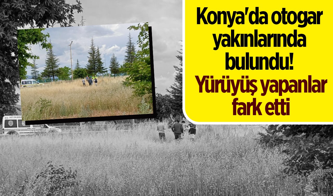 Konya’da otogar yakınlarında bulundu! Yürüyüş yapanlar fark etti 