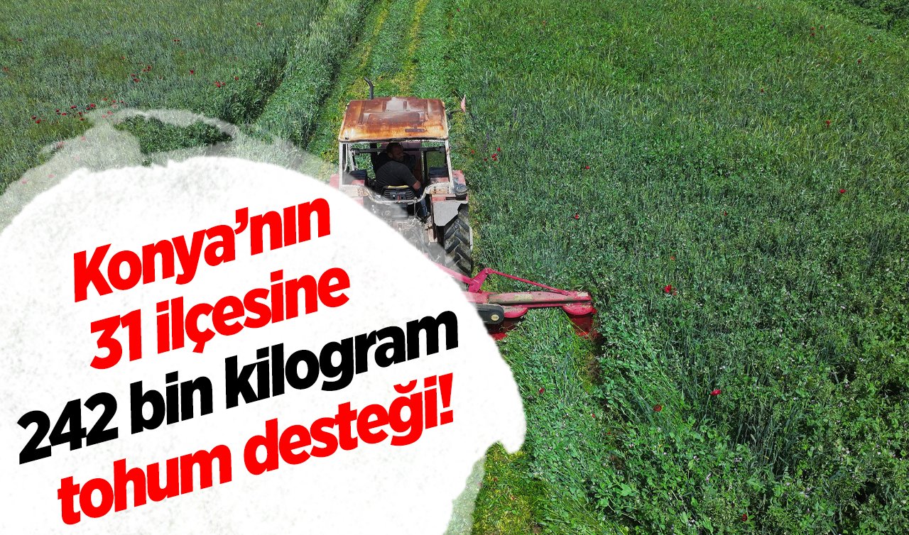 Konya’nın 31 ilçesine 242 bin kilogram tohum desteği! 17.000 ton verim hedefleniyor