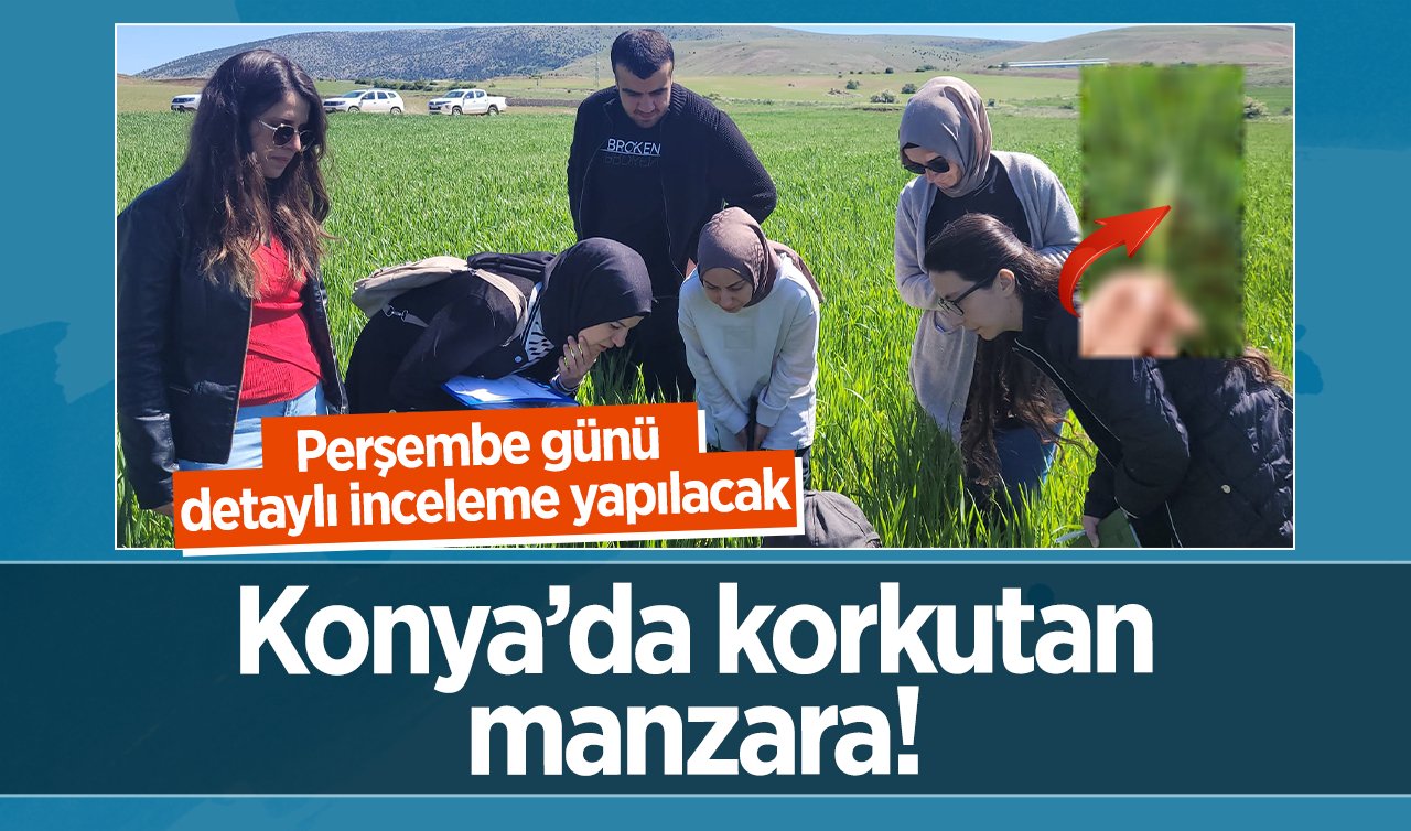 Konya’da korkutan manzara! Perşembe günü detaylı inceleme yapılacak