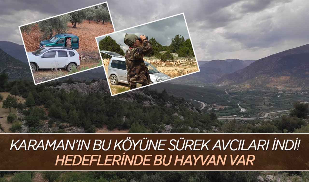 Karaman’ın bu köyüne sürek avcıları indi! Hedeflerinde bu hayvan vardı