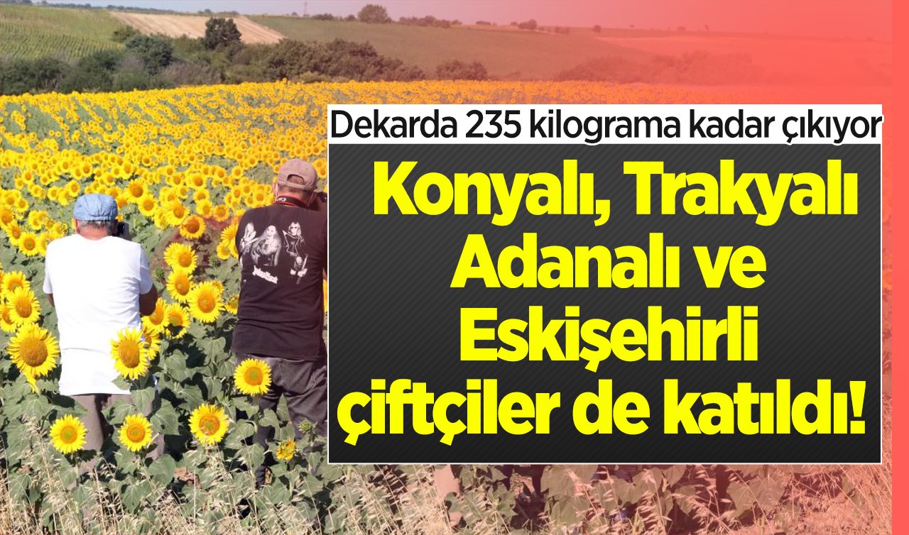 Konyalı, Trakyalı, Adanalı ve Eskişehirli çiftçilerde katıldı!  Dekarda 235 kilograma kadar çıkıyor